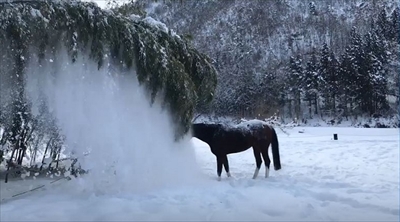 風景画 雪山と馬に乗った人物 メキシコで購入したもの 雪ファサー 笹の葉に積もった雪を落として遊ぶ馬がとっても楽し