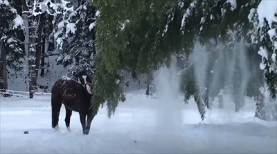 山形馬事センター