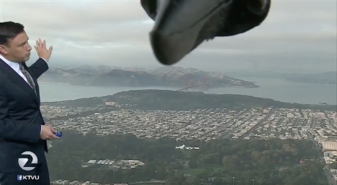 天気予報の本番中に巨大生物が乱入!?　司会者も思わず画面外に退散