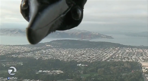 天気予報の本番中に巨大生物が乱入!?　司会者も思わず画面外に退散