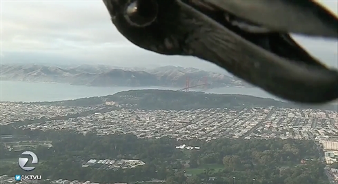 天気予報の本番中に巨大生物が乱入!?　司会者も思わず画面外に退散