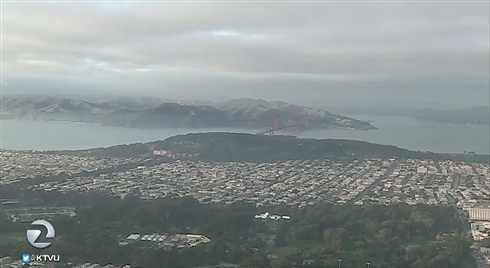 天気予報の本番中に巨大生物が乱入!?　司会者も思わず画面外に退散