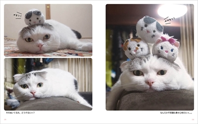 ぐでねこ ライくん