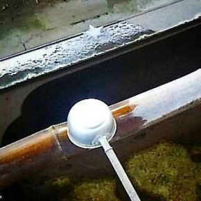 氷 結晶 大きい 一山神社