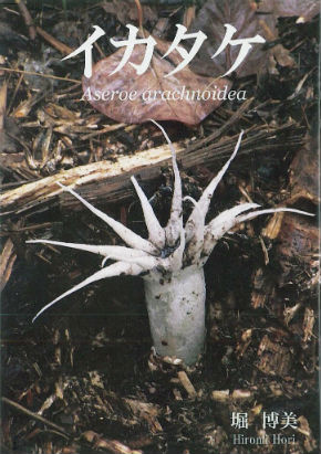 同人誌『イカタケ』　きのこ