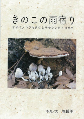 同人誌『きのこの雨宿り』　きのこ