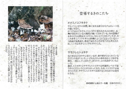 同人誌『きのこの雨宿り』　きのこ