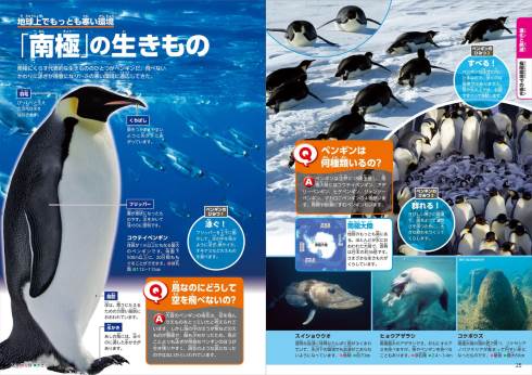 MOVE 生きものになれる展