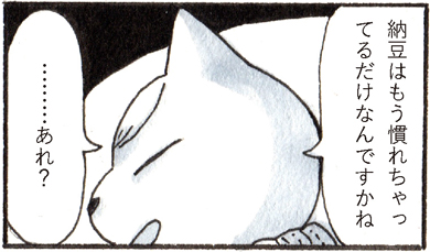 チョーヒカル ゲテモノ 臭豆腐