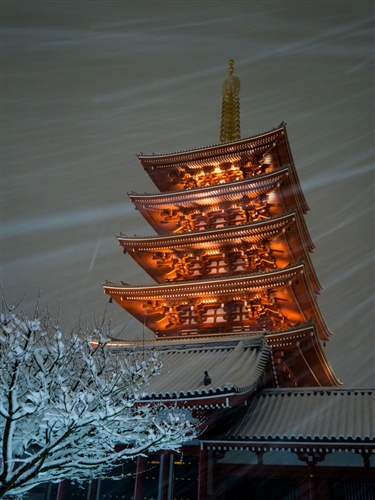 浅草雷門の雪景色 雪の浅草・浅草寺（前編） ～お江戸の名所に雪積もる（2014東京