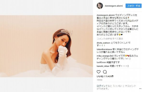 ダレノガレ明美 結婚 ウエディングドレス ティアラ 3億円