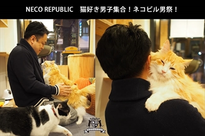 ネコビル男祭り