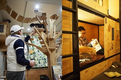 ネコビル男祭り