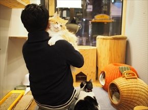 ネコビル男祭り