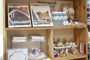 ネコビル男祭り