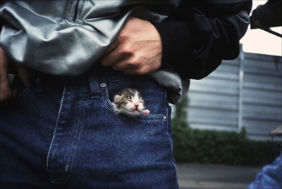 人情船橋競馬場厩舎ネコ物語