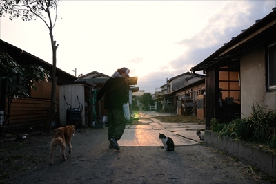 人情船橋競馬場厩舎ネコ物語