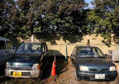 人情船橋競馬場厩舎ネコ物語