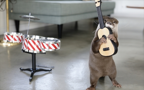 カワウソちぃたん