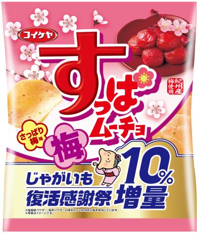 湖池屋 じゃがいも 北海道 増量 感謝祭 ポテトチップス
