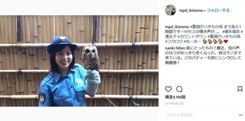 橋本環奈　警視庁いきもの係　動物