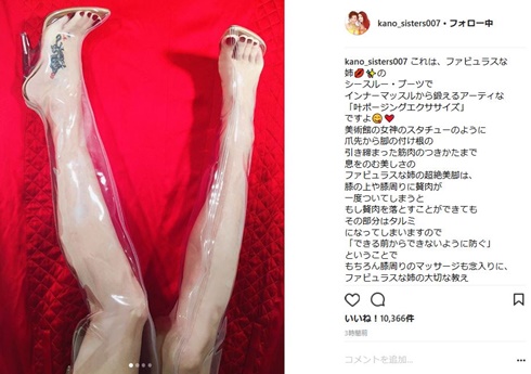 叶姉妹　叶恭子　犬神家