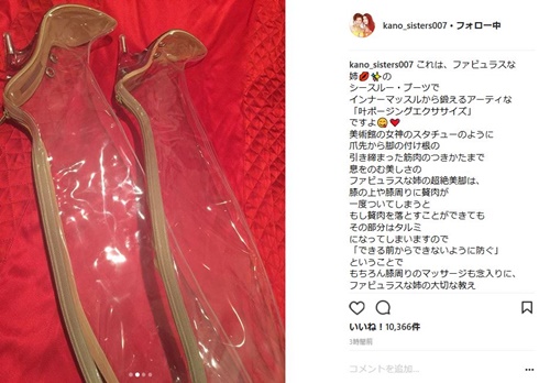 叶姉妹　叶恭子　犬神家