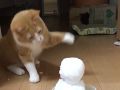 猫パンチをおみまいだにゃ！　にゃんこVS雪だるまがほほえましさ半端ない