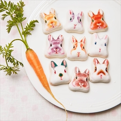 うさぎほうずい