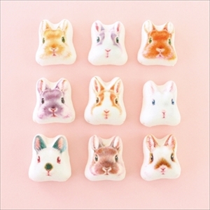 うさぎほうずい