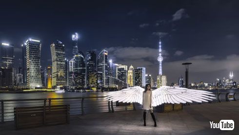 羽根