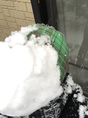 アダム・ミスミ SNOW 一発芸