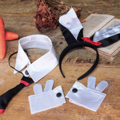 ラビットランジェリー ヴィレヴァン バニーガール