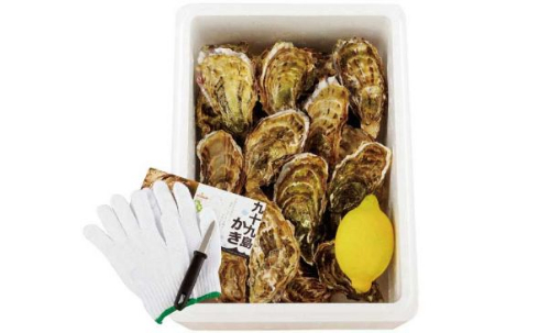 九十九島からの挑戦 宝探し 佐世保市