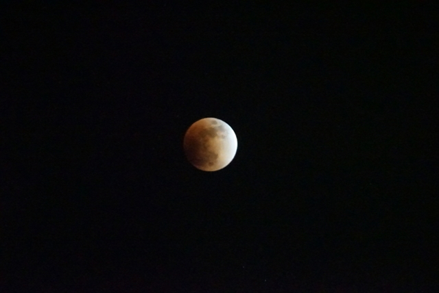 月食でスーパームーン　珍しい「スーパー・ブルー・ブラッドムーン」の写真、SNSに続々