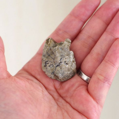 ストーンアート 石 コラボワーク 動物 作品