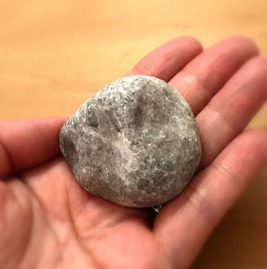 ストーンアート 石 コラボワーク 動物 作品