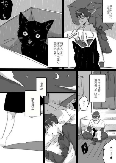 君の人生全部を幸せにしてあげたい話 漫画 猫