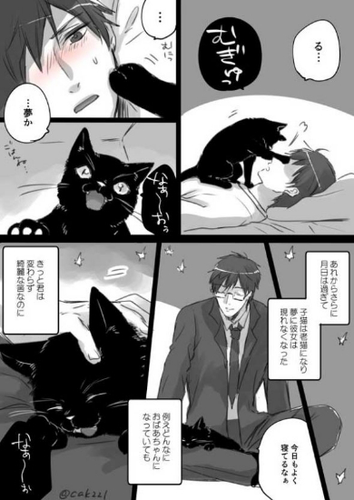 君の人生全部を幸せにしてあげたい話 漫画 猫