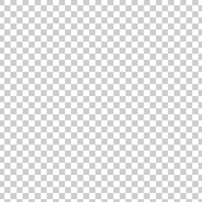 透明 ビキニ 朝比奈祐未 Photoshop 透過