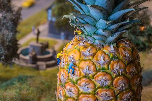 パイナップルのミニチュア写真