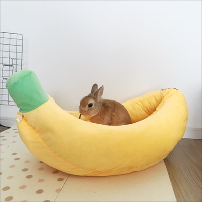 うさぎのモキュ様