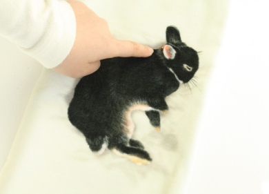 子うさぎが寝ているフェイスタオル