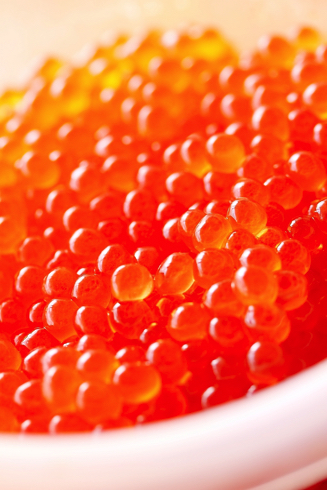 イクラ