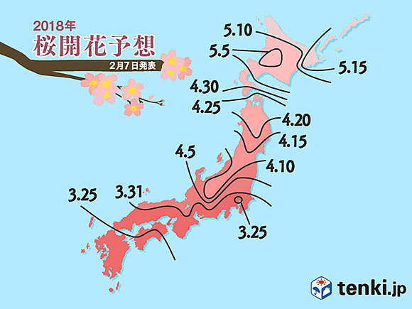 桜開花予想