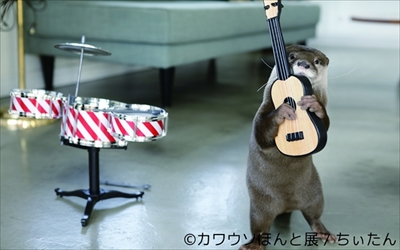 カワウソほんと展