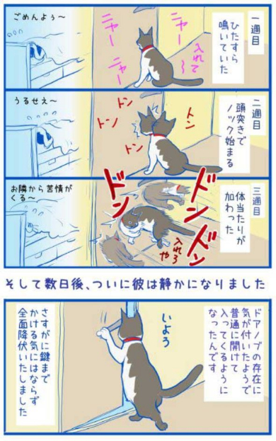 猫 寝室 締め出す 漫画