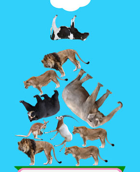 どうぶつタワーバトル