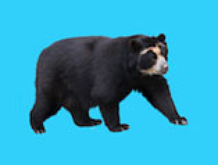 どうぶつタワーバトル