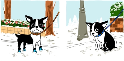 愛犬の冬の足のトラブル